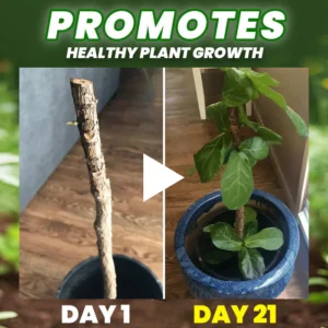 AAFQ® Organic Fertilizer Tablets- Slow Release Plant Food for 60 Days