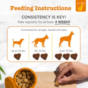 Turmeric Curcumin Bites™ for Dogs
