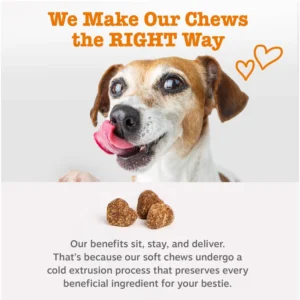 Turmeric Curcumin Bites™ for Dogs
